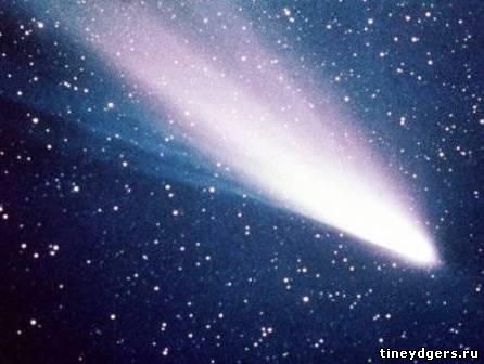 комета хвостатая
