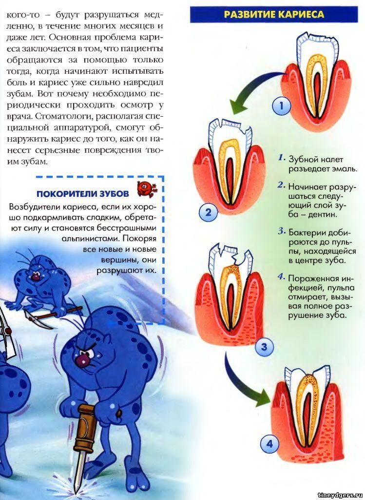 рот и зубы