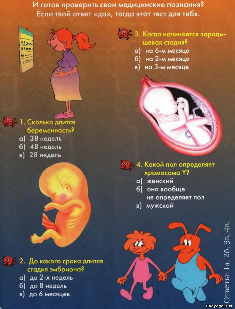 зачатие и рождение ребенка