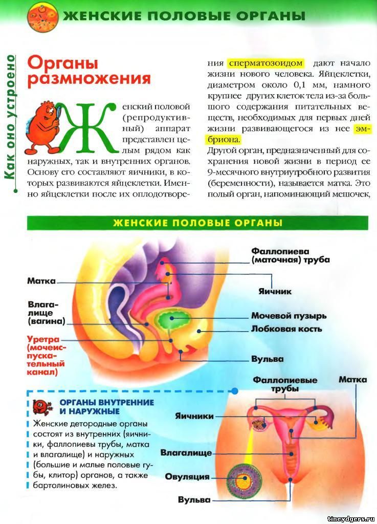 сексуальность