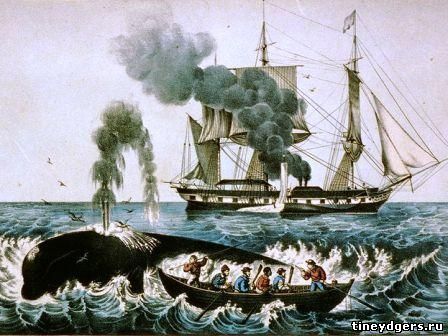 охота на китов