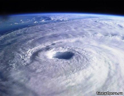 ураган - http://tineydgers.ru