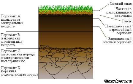 строение почвы - http://tineydgers.ru