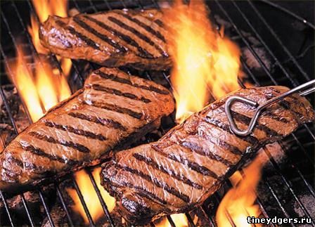 мясо на огне (http://tineydgers.ru)