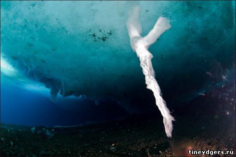 Ледяной палец смерти в арктических глубинах